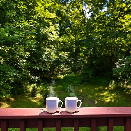 סביירוויל Smoky Mountains Hut Tub Cabin Dog Friendly מראה חיצוני תמונה