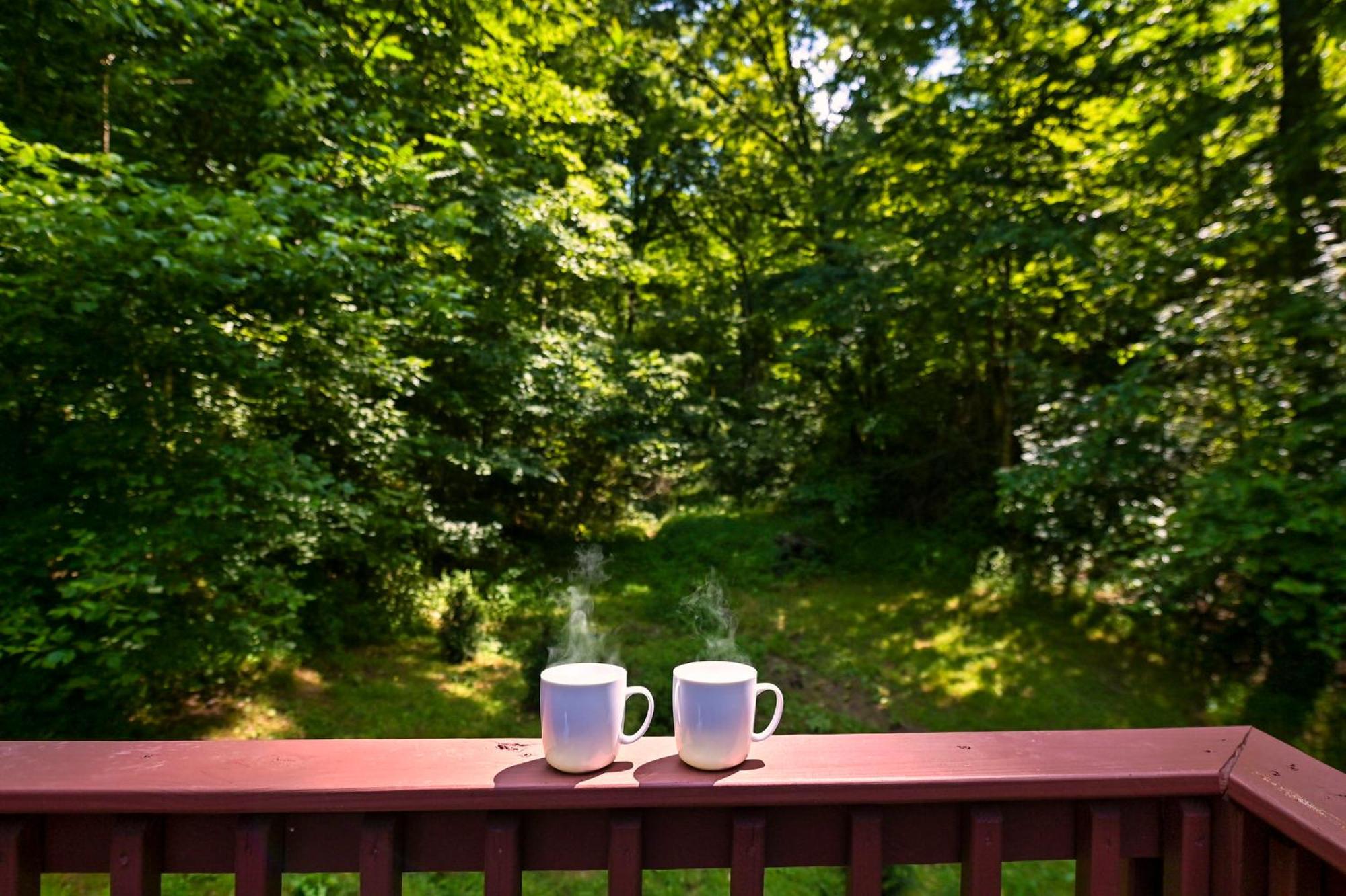 סביירוויל Smoky Mountains Hut Tub Cabin Dog Friendly מראה חיצוני תמונה